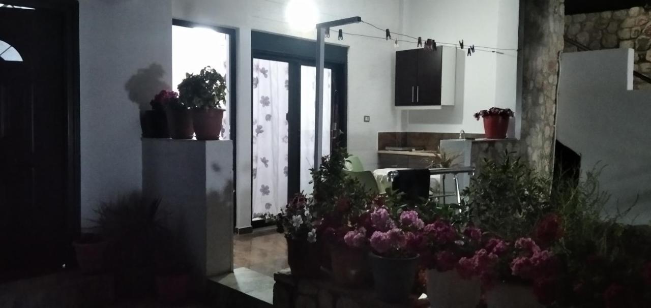 Apartment Erjon *